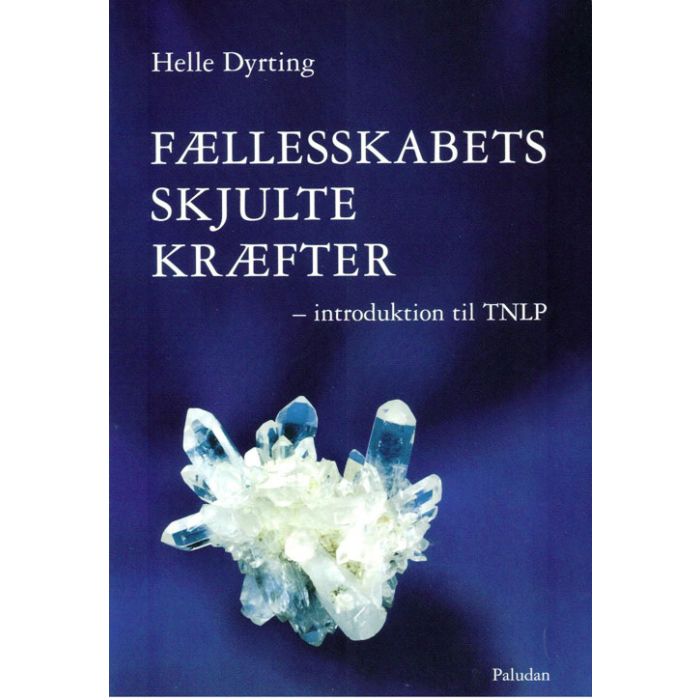 Fællesskabets skjulte kræfter af Helle Dyrting