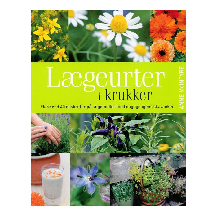 Lægeurter i krukker af Anne McIntyre