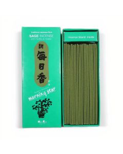 Japansk r&oslash;gelse - Sage - Salvie - Morning Star - Big Box - R&oslash;gelsespinde