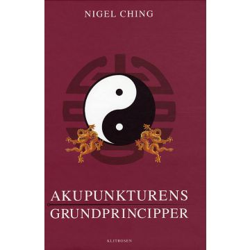 Akupunkturens grundprincipper
