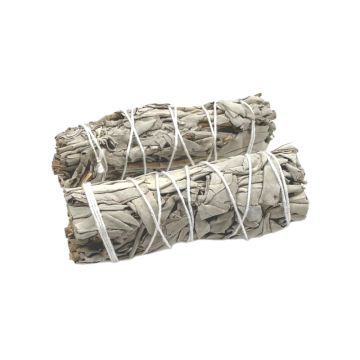 Hvid salvie -  2 stk - California