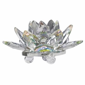 Lotus blomst