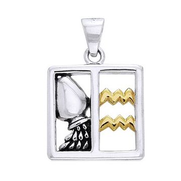 Vedhæng Vandbæreren Stjernetegn - 30mm - u/kæde