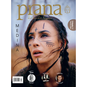 Prana Bogasinet 41 // Prana Yoga 41